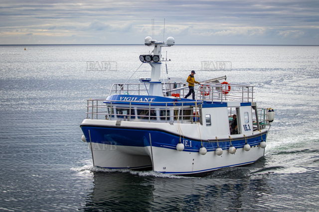 Large picture for advert 132933