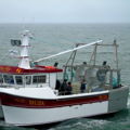 Thumbnail for picture 5