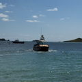 Thumbnail for picture 14