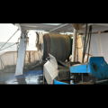 Extra picture for advert 144934