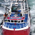 Extra picture for advert 144934