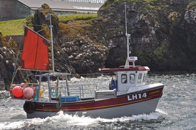 Large picture for advert 132935