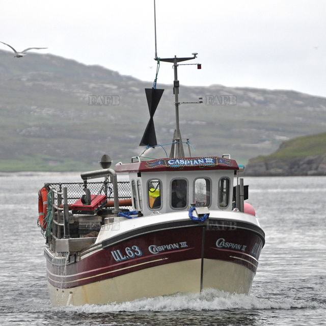 Large picture for advert 132935