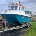 Extra picture for advert 143937