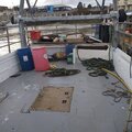 Thumbnail for picture 8