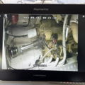 Thumbnail for picture 24