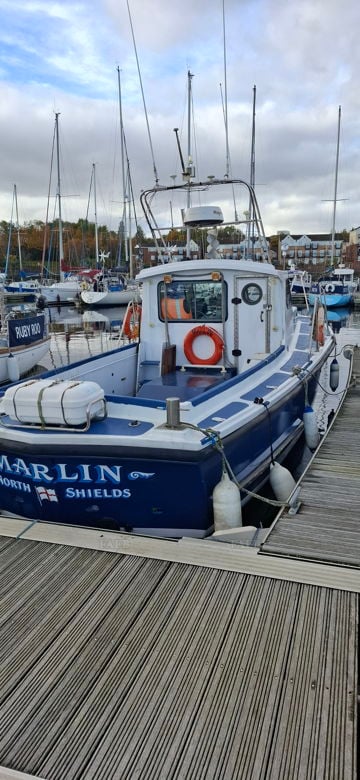 Marlin