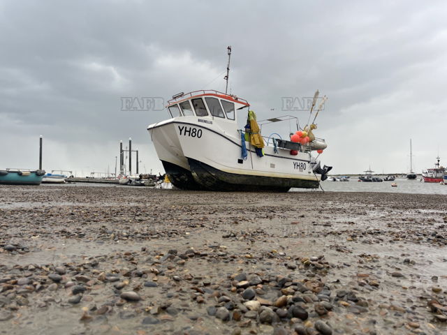Large picture for advert 143946