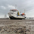Extra picture for advert 143946