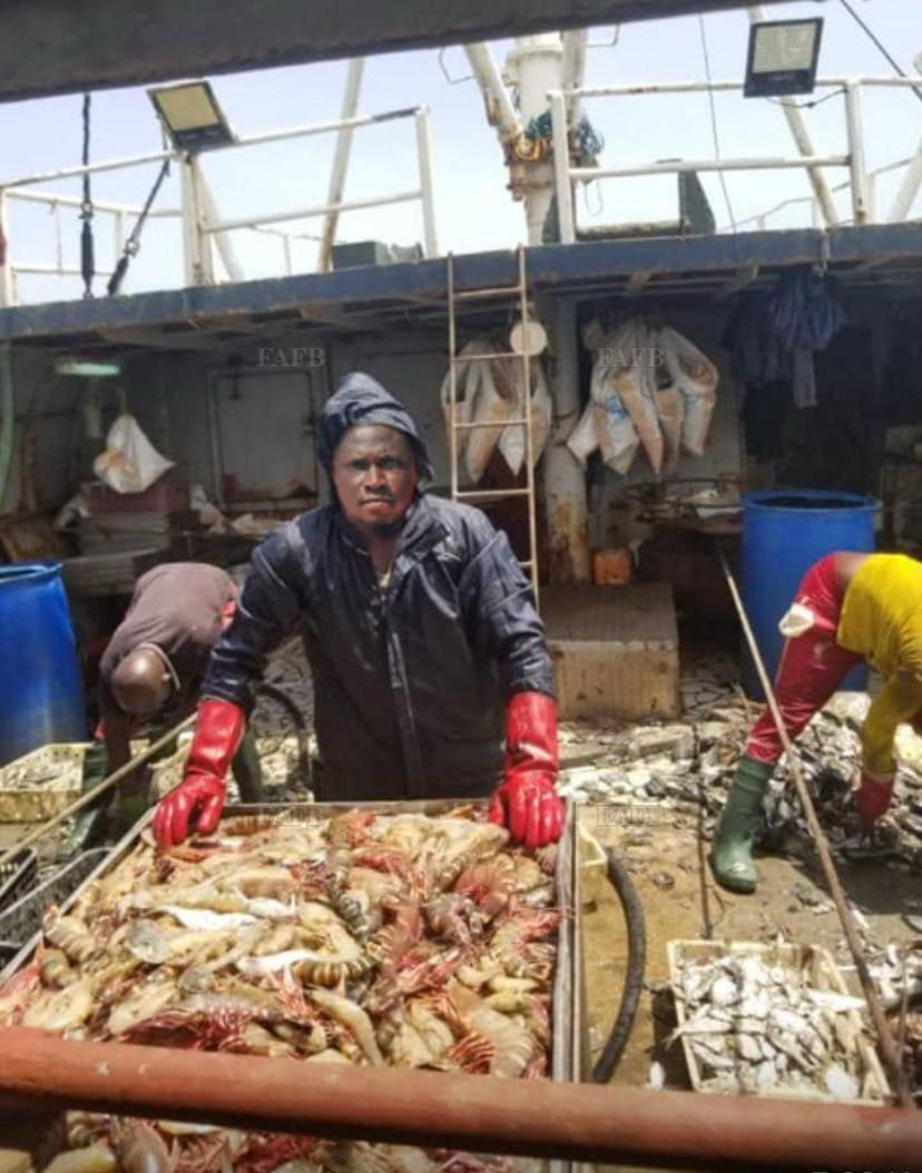 Deckhand