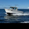 Extra picture for advert 147948