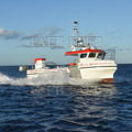 Large picture for advert 145095