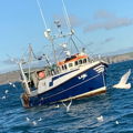 Extra picture for advert 146951