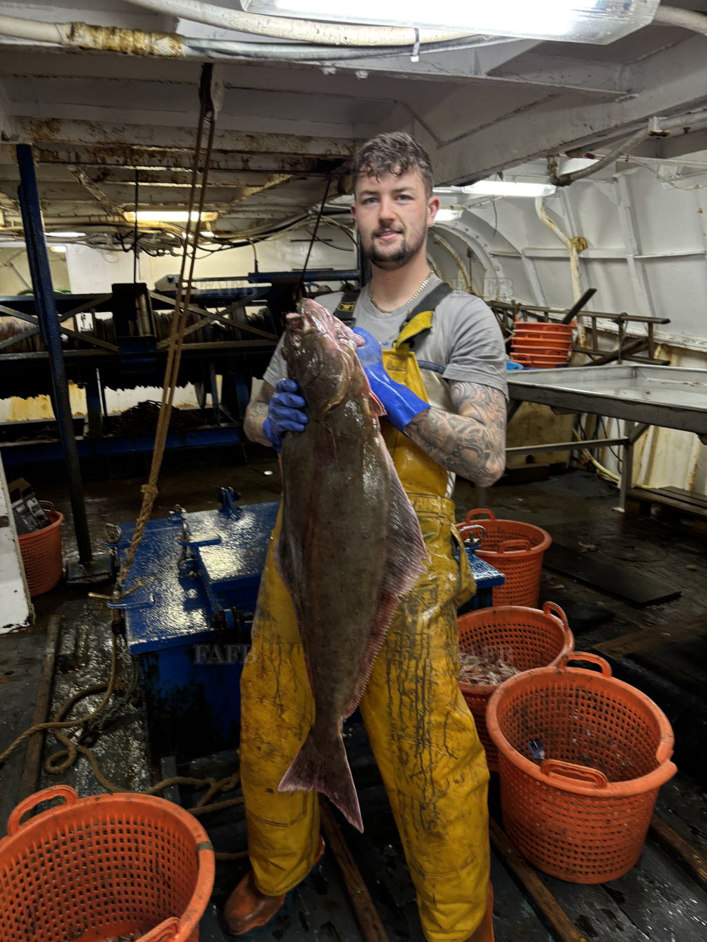 Freezer trawler