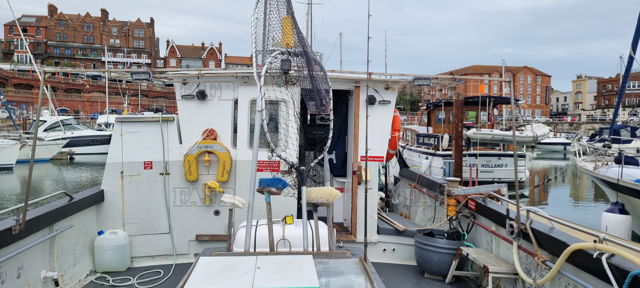 Large picture for advert 142952