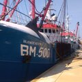 BM500 - picture 8