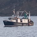 Extra picture for advert 147956