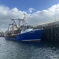 Extra picture for advert 147956
