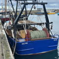 Extra picture for advert 147956