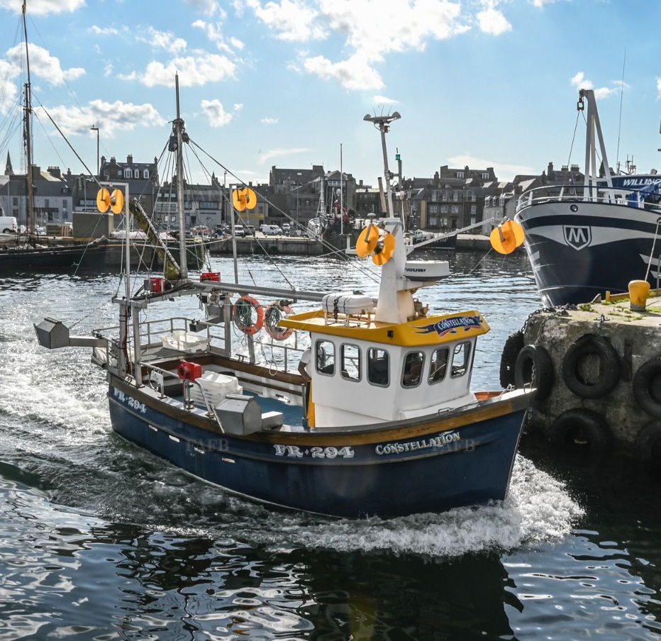 Large picture for advert 137957