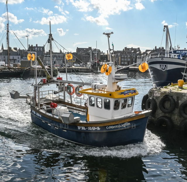 Large picture for advert 137957