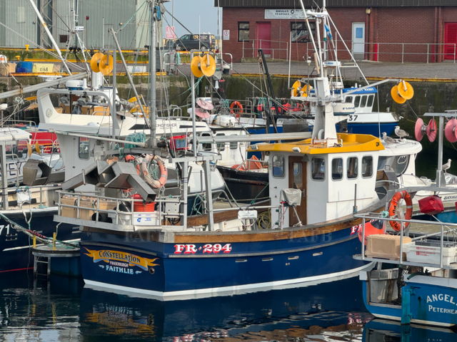 Large picture for advert 137957