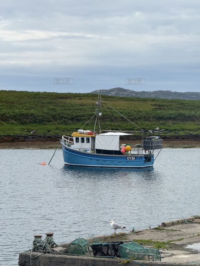 Large picture for advert 143958