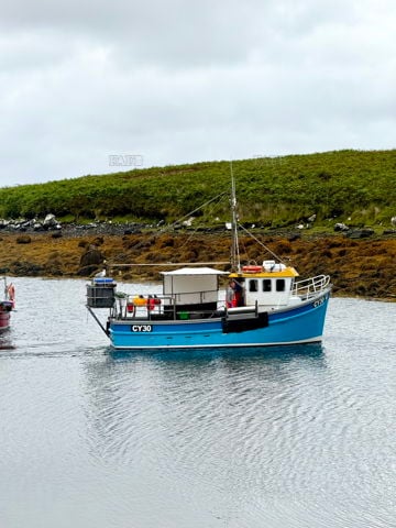 Iona Louise
