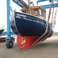 Extra picture for advert 146958