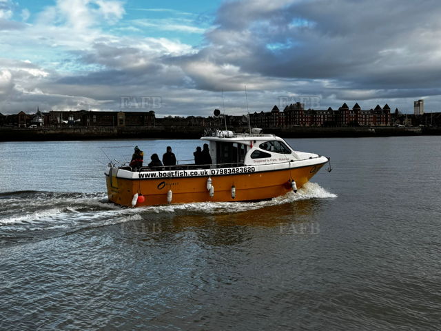 Large picture for advert 142960