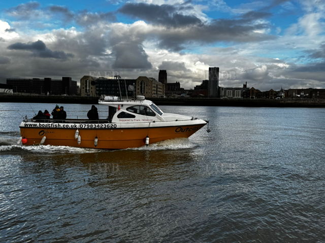 Large picture for advert 142960