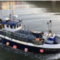 Extra picture for advert 147960