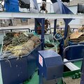 Macduff Shipyards Trawler - picture 32