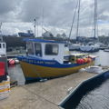 Extra picture for advert 146961