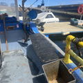 Extra picture for advert 146961