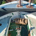 Thumbnail for picture 6