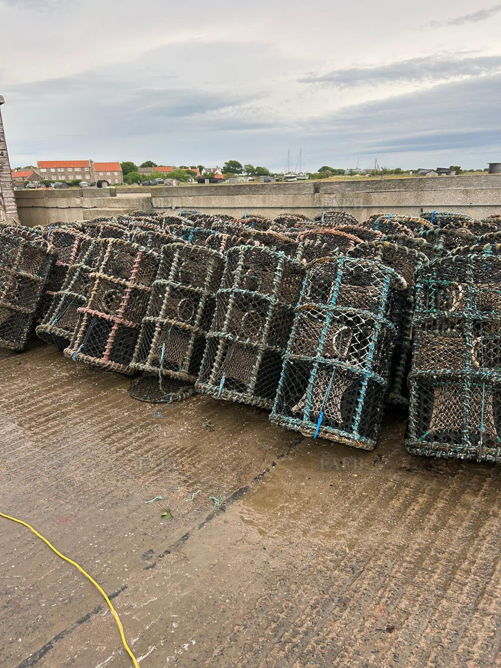 60 gael force 36&quot; parlour pots