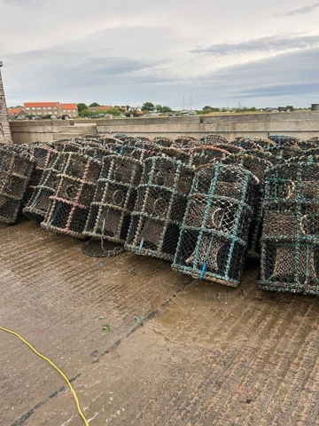 60 gael force 36" parlour pots