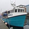 Extra picture for advert 146965