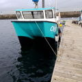 Extra picture for advert 146966