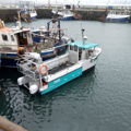 Extra picture for advert 146966