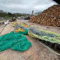 Extra picture for advert 147966