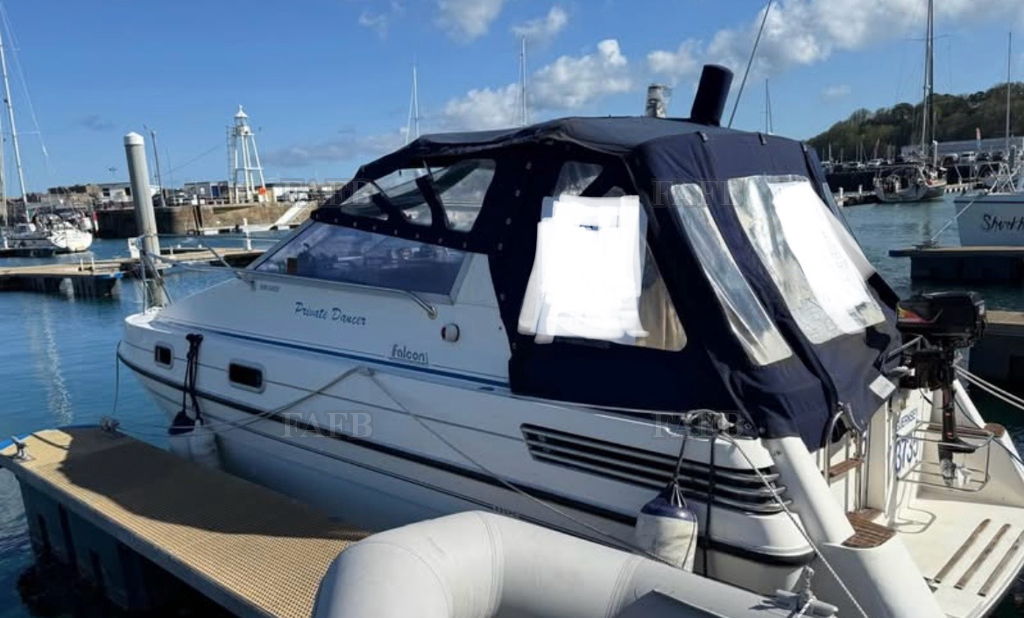 24ft falcon