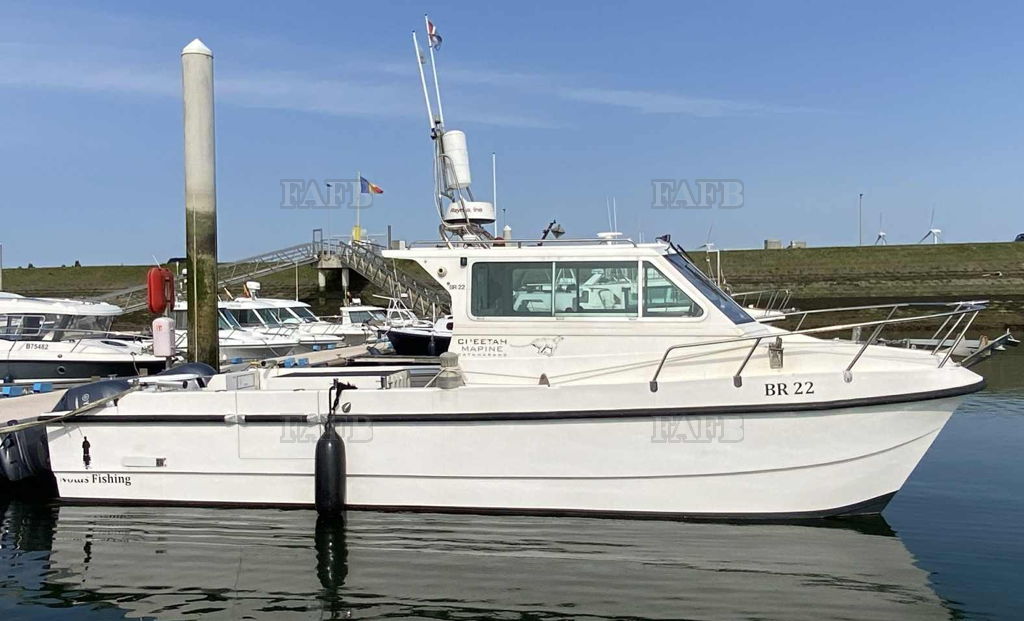 Cheetah catamaran 8.5 x 3 m