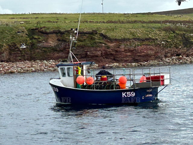 Large picture for advert 144097