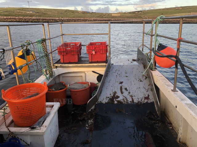 Large picture for advert 144097