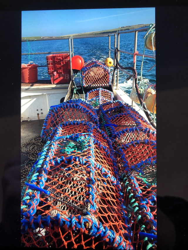 Large picture for advert 144097