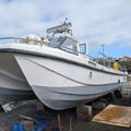 Extra picture for advert 146097