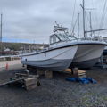 Extra picture for advert 146097