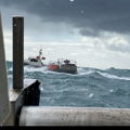 Thumbnail for picture 5